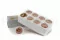 Rosa preservada L Antique Pink (x8) 6