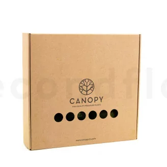 Muschio a Sfera stabilizzato Nature Green (Scatola)