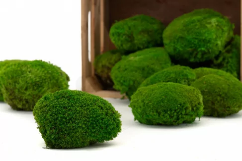 Ball Moss Stabilized - Bulk Box - Light Green