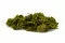 Preserved Club Moss 4