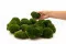 Preserved Ball Moss Nature Green (Box) 4