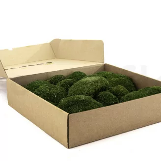 Konservierte Kugelmoos Nature Green (Box)