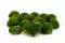 Musgo Bola preservado Nature Green (Caja) 7