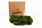 Konservierte Kugelmoos Nature Green (Box) 9