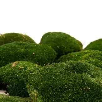Preserved Ball Moss Nature Green (Box)