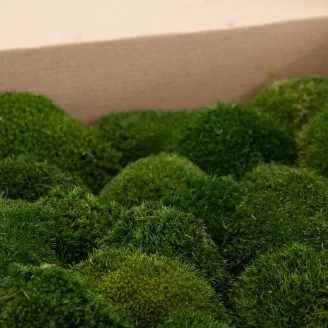 Mini Mousse Boule stabilis&eacute;e Nature Green (Bo&icirc;te)