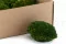 Mini Musgo Bola preservado Nature Green (Caja) 5
