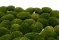 Mini Mousse Boule stabilis&eacute;e Nature Green (Bo&icirc;te) 1
