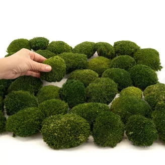 Mini Mousse Boule stabilis&eacute;e Nature Green (Bo&icirc;te)
