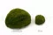 Mini Mousse Boule stabilis&eacute;e Nature Green (Bo&icirc;te) 13