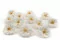 Rose Sauvage stabilis&eacute;e Blanc (x12) 2