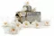 Rose Sauvage stabilis&eacute;e Blanc (x12) 6