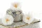 Preserved Wild Rose White (x12) 1