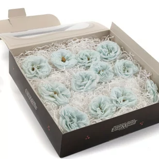 Rosa Silvestre preservada Azul (x12)