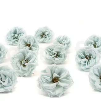 Rosa Silvestre preservada Azul (x12)
