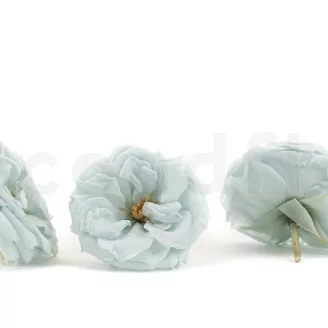 Rosa Selvatica stabilizzata Blu (x12)