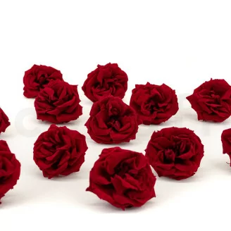 Rose Sauvage stabilis&eacute;e Rouge (x12)