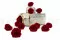 Rosa Selvatica stabilizzata Rosso (x12) 6