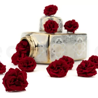 Rosa Silvestre preservada Rojo (x12)