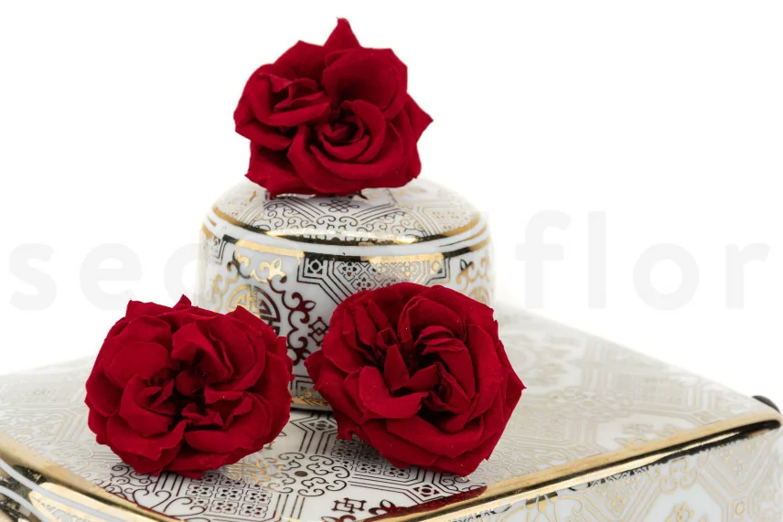 Rose Sauvage stabilis&eacute;e Rouge (x12)
