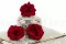 Rose Sauvage stabilis&eacute;e Rouge (x12) 1