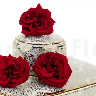 Rosa Silvestre preservada Rojo (x12)