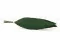 Preserved Tropical Leaf (x8) 4