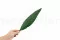 Preserved Tropical Leaf (x8) 5
