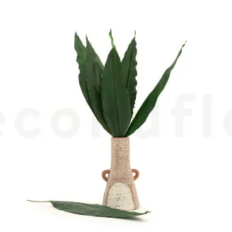 Feuille Tropicale stabilis&eacute;e (x8)