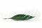 Feuille Tropicale stabilis&eacute;e (x8) 10