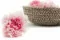 Garofano stabilizzato Rosa & Bianco (x6) 1