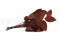Salal stabilis&eacute; Rouge 7