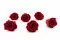 Preserved Rose XL Dark Red (x6) 2