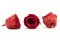 Preserved Rose XL Dark Red (x6) 4