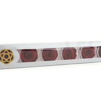 Preserved Rose XL Dark Red (x6)