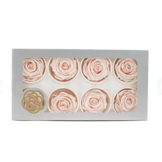 Rosa preservada L Pink Blush (x8)
