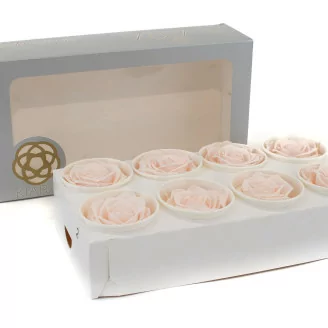 Rose stabilis&eacute;e L Pink Blush (x8)