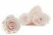 Preserved Rose L Pink Blush (x8) 1