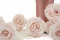 Preserved Rose L Pink Blush (x8) 9