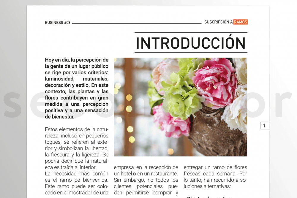 Ficha de la empresa 3 - «Abonnement bouquet»