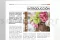 [G_ES_SF-DB-3_E] Business file 3 &laquo;Bouquet Subscription&raquo; 2