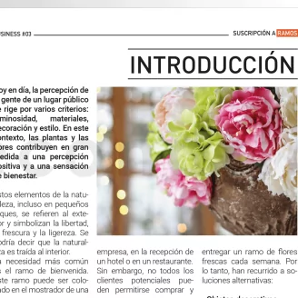 [G_ES_SF-DB-3_E] Business file 3 &laquo;Bouquet Subscription&raquo;