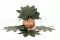 Feuille d'Aralia stabilis&eacute;e (x10) 10