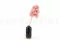 Preserved Peegee Hydrangea Powder Pink 6