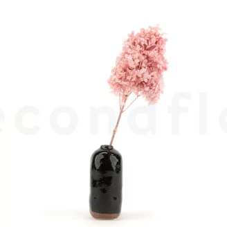 Preserved Peegee Hydrangea Powder Pink