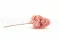 Preserved Peegee Hydrangea Powder Pink 8