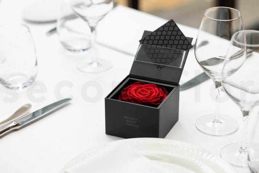 Coffret Rose XXL stabilis&eacute;e Rouge