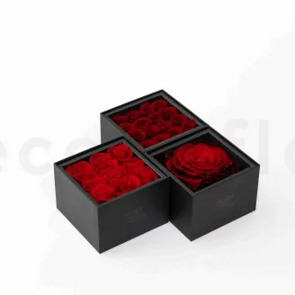 Geschenkset mit konservierten Rosen XXL Rot
