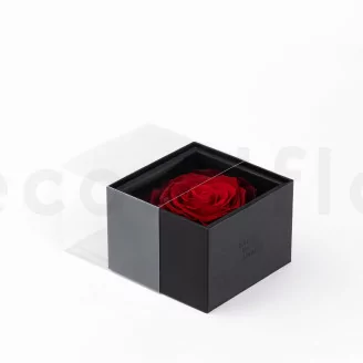 Rosa preservada XXL en caja Rojo