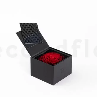 Geschenkset mit konservierten Rosen XXL Rot
